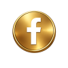 facebook icon
