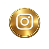 instragram icon