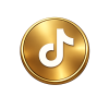 tiktok icon